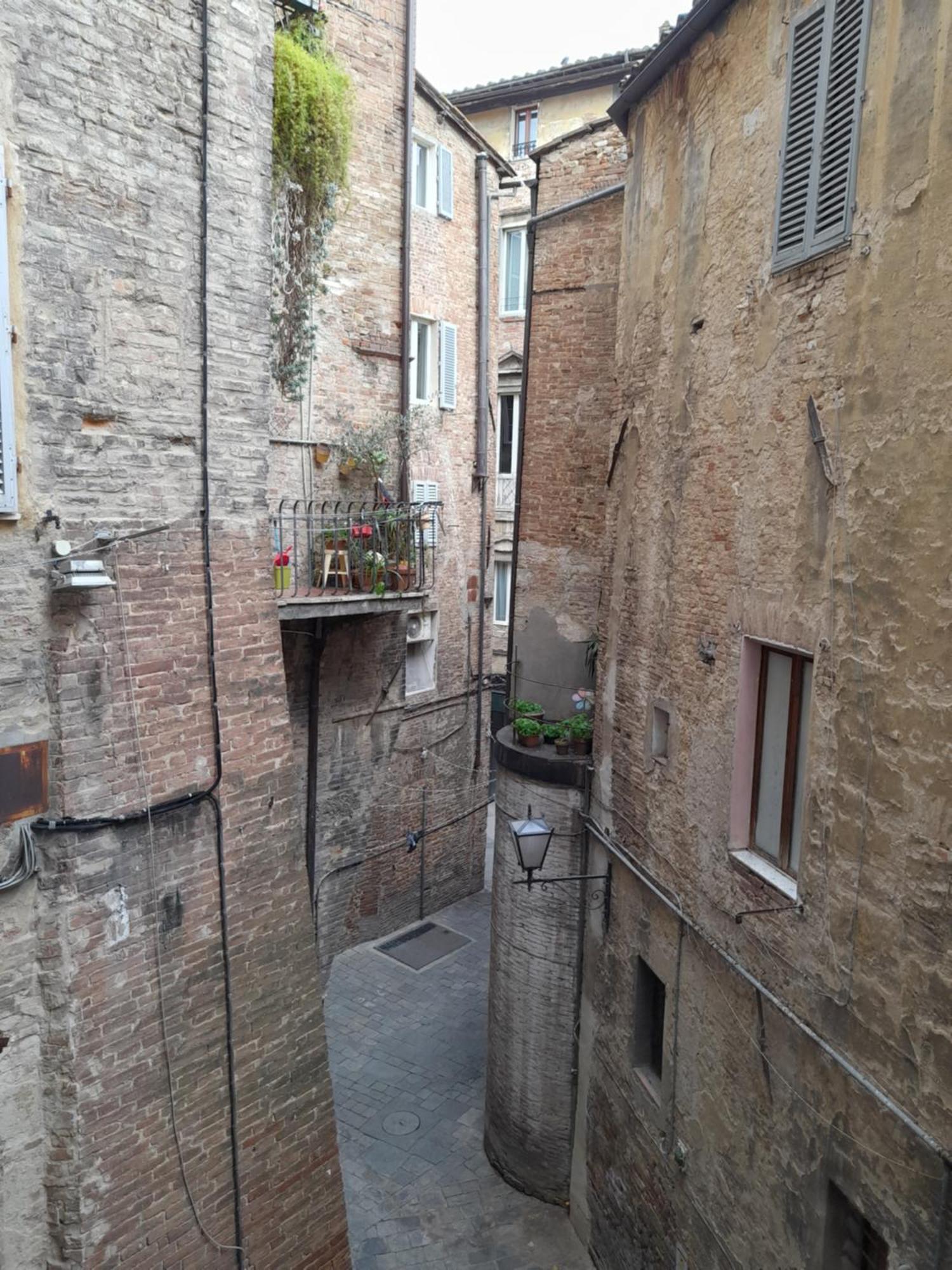 B&B Il Corso Siena Kültér fotó